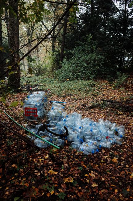 Three large plastic sacks filled with waste material are placed on the pavement near a wooden fence and a tree with dense foliage. The sacks appear to contain household rubbish or discarded items, wit